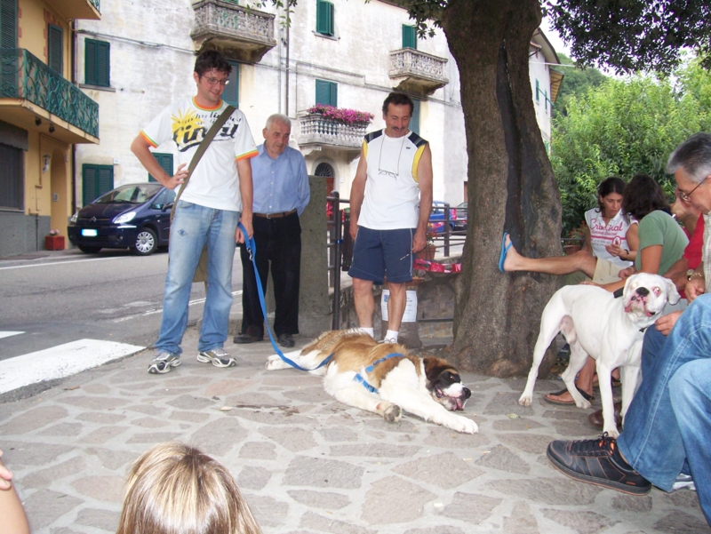  Image name: Persone029.jpg 
 width: 800 pixel 
 height: 601 pixel 
 Size: 443499 bytes 
 Click to enlarge 